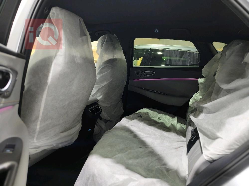 بي واي دي سيليون 06 DM-i